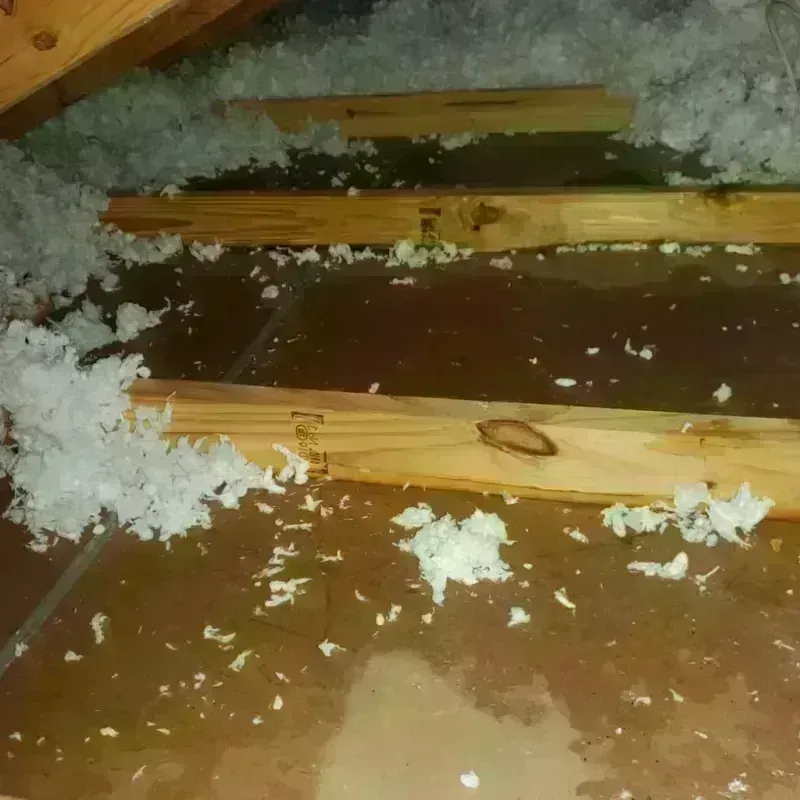 Attic Water Damage in Kendall West, FL