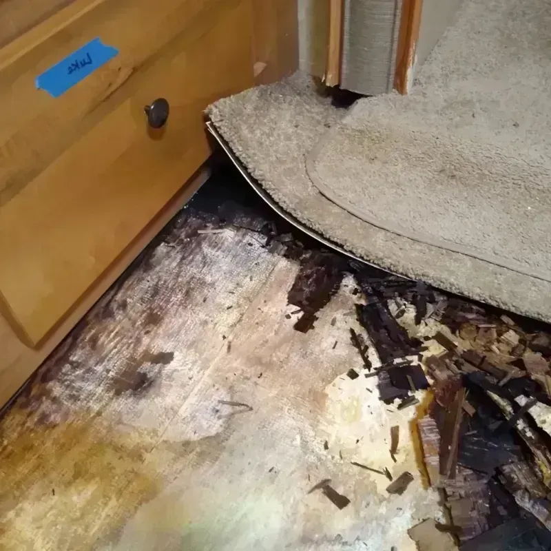 Wood Floor Water Damage in Kendall West, FL